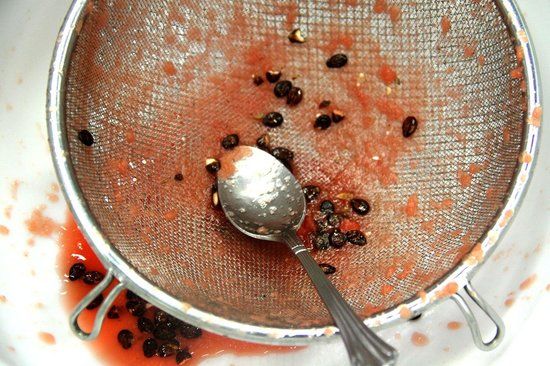 Delizia Gelato Italiano